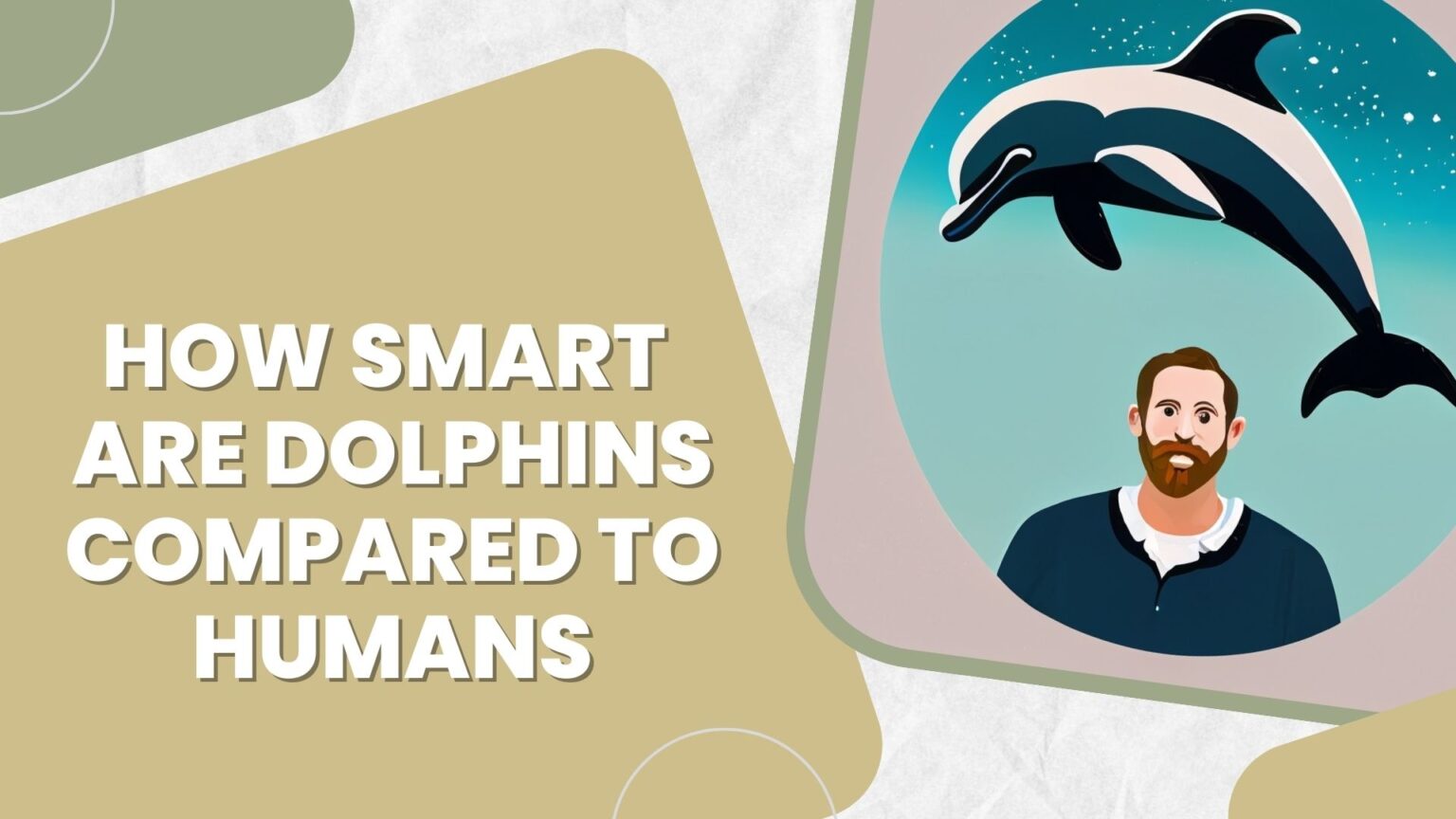 How Smart Are Dolphins Compared to Humans? Unlocking the Enigma