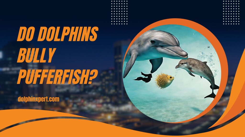 Do dolphins bully pufferfish