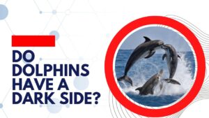 Do Dolphins Have a Dark Side?