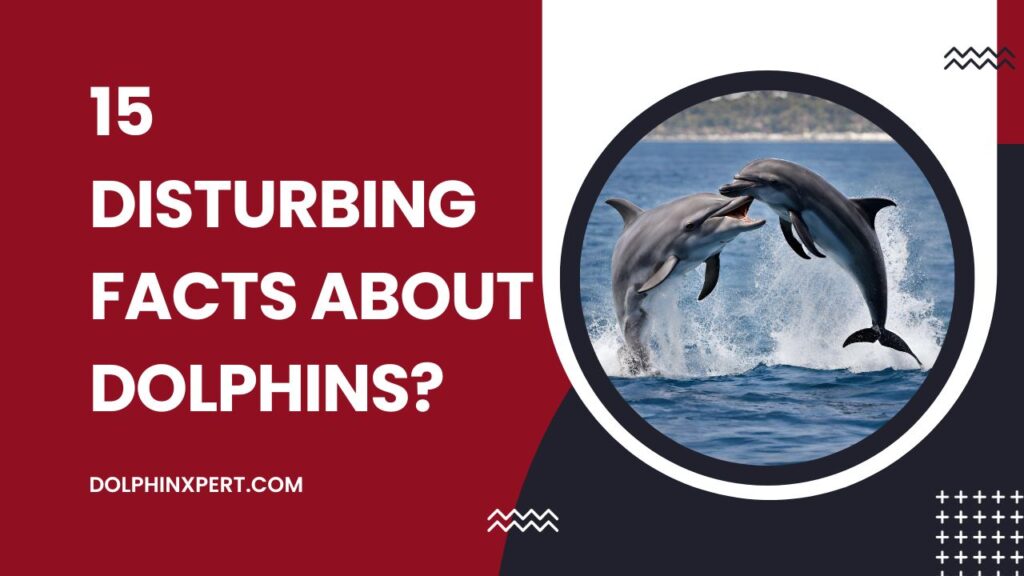 Disturbing Facts About Dolphins