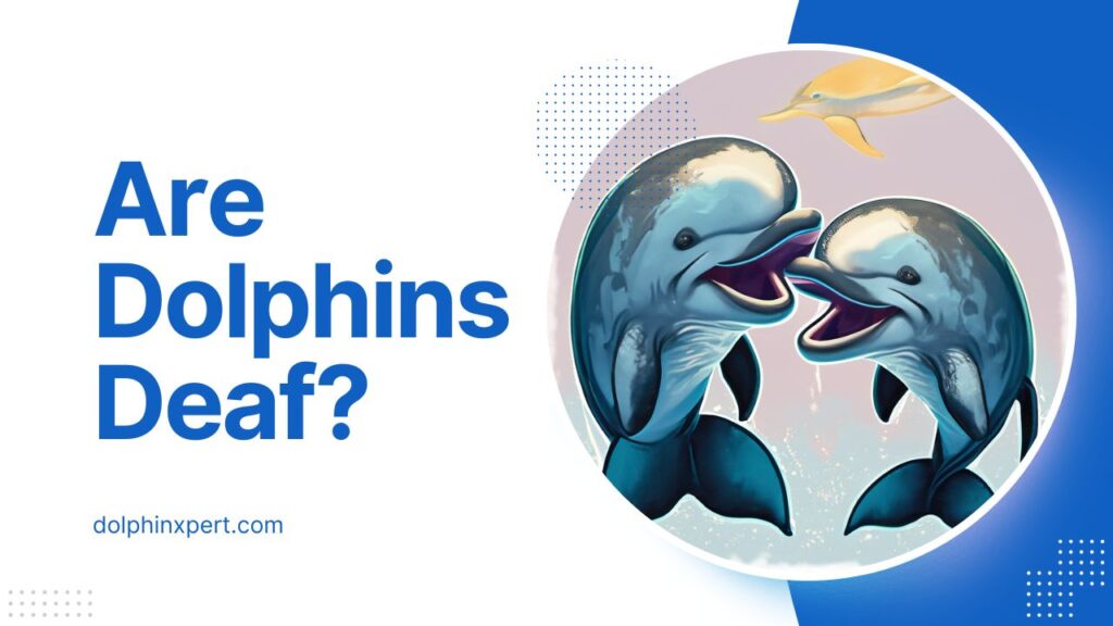 Are Dolphins Deaf