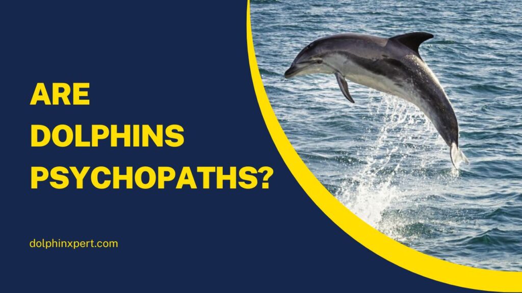 Are Dolphins Psychopaths