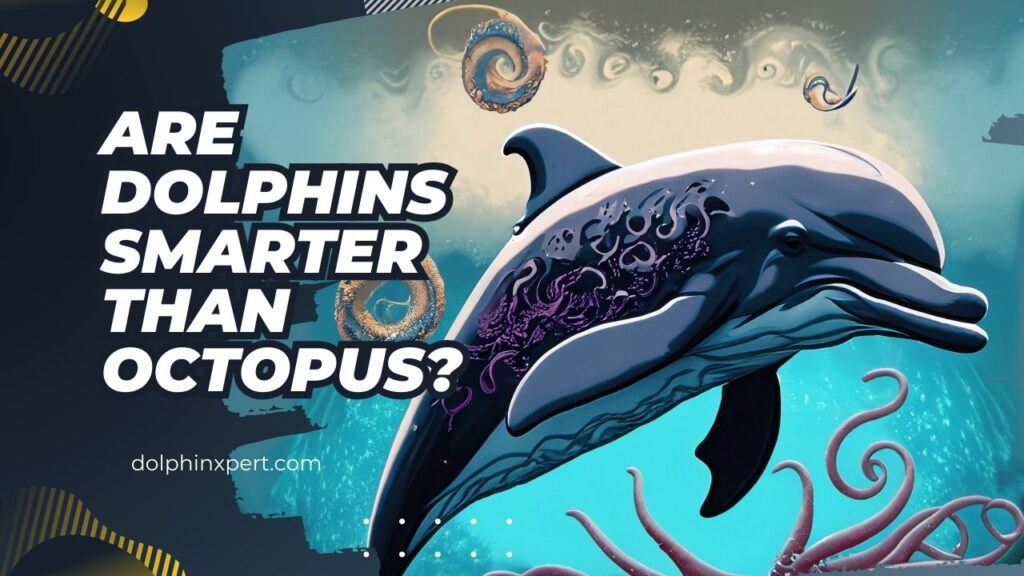 Are Dolphins Smarter Than Octopus