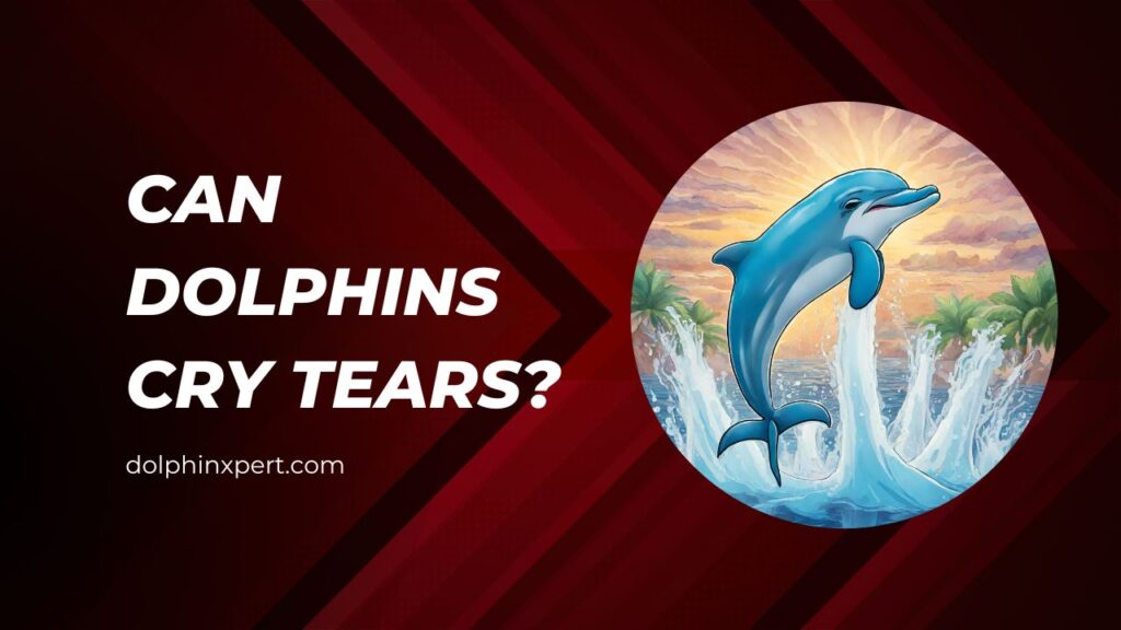Can dolphins cry tears