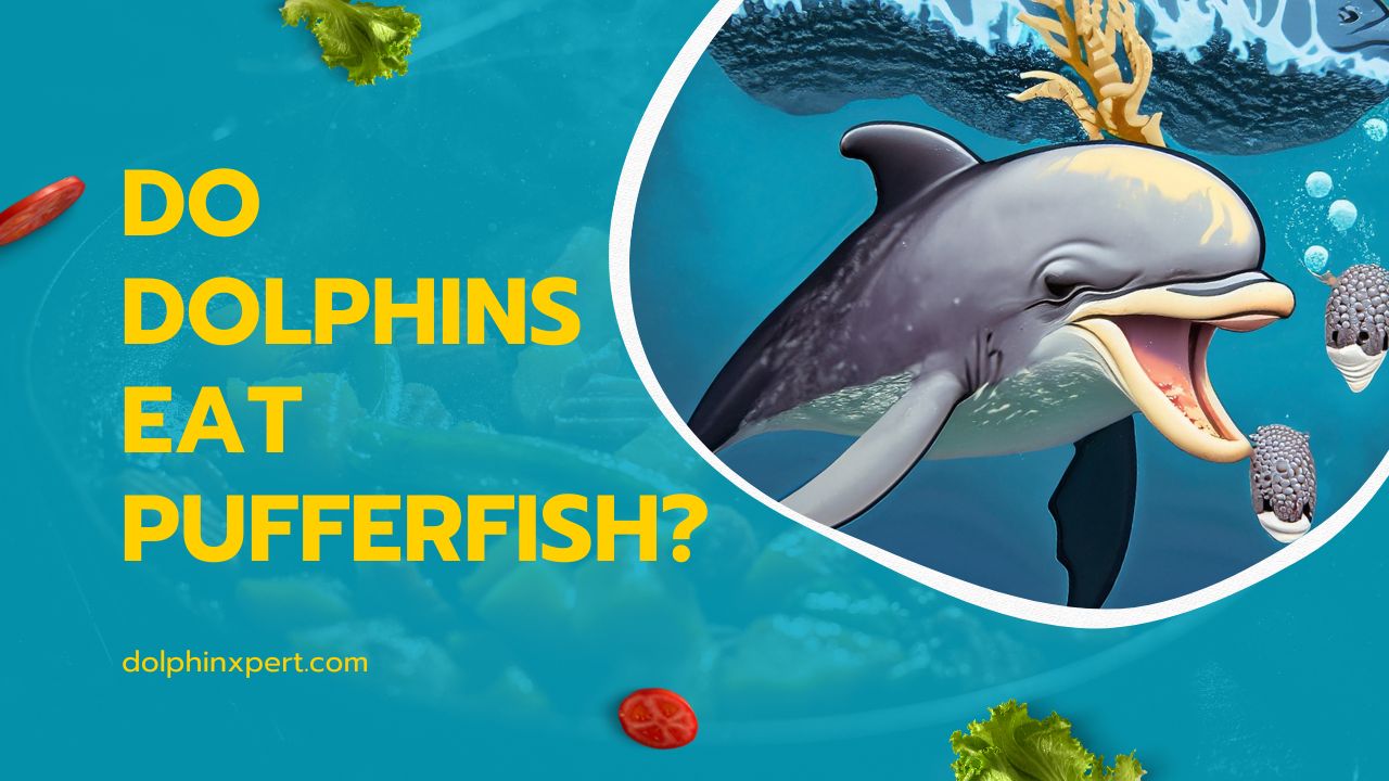Do Dolphins Eat Pufferfish
