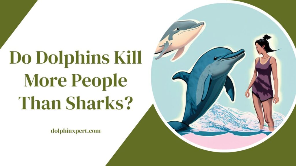 Do Dolphins Kill More People Than Sharks
