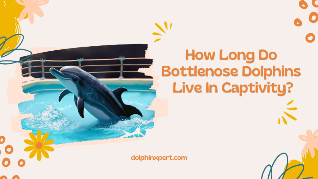 how long do bottlenose dolphins live in captivity
