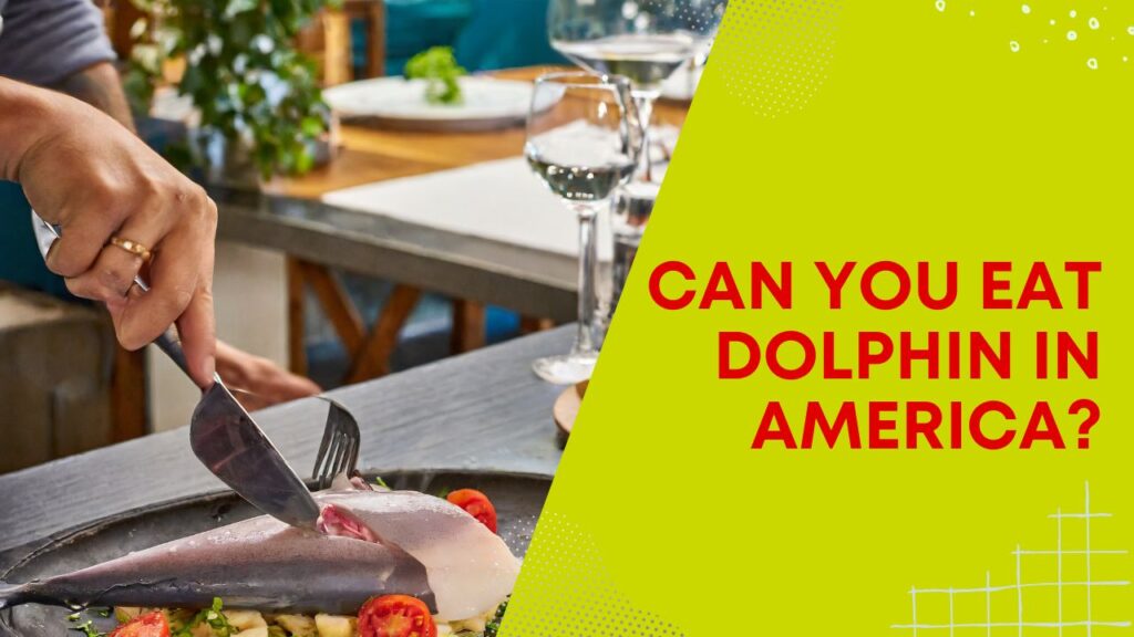 Can You Eat Dolphin In America