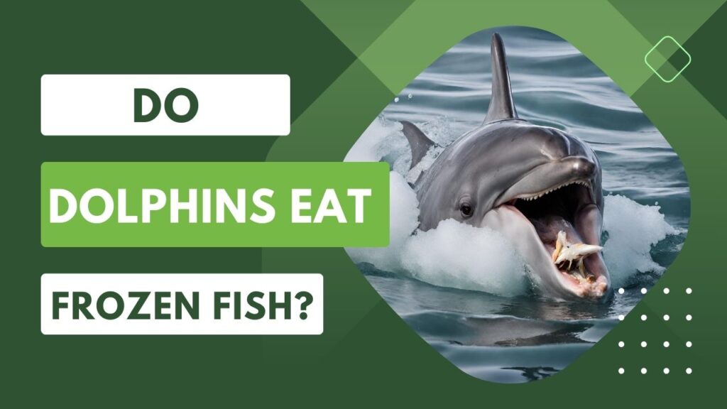 Do Dolphins Eat Frozen Fish?