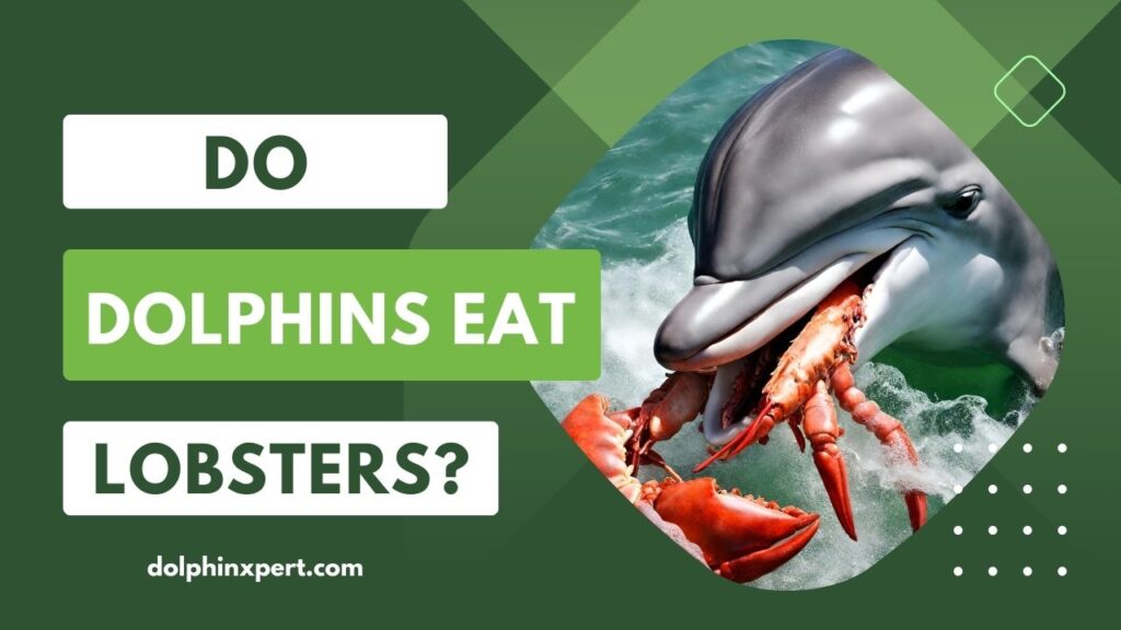 Do Dolphins Eat Lobsters
