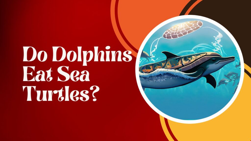 Do Dolphins Eat Sea Lions