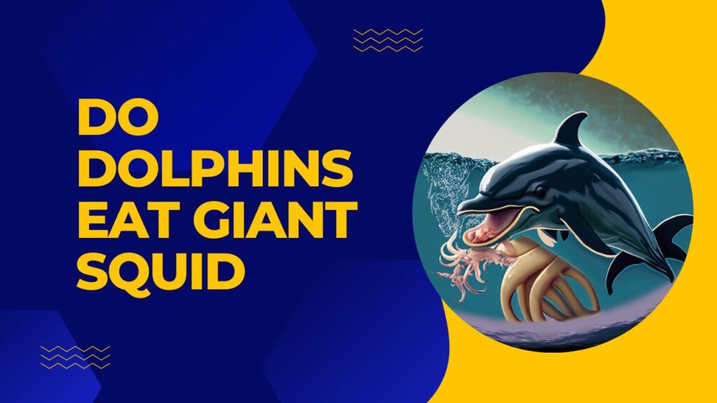 Do Dolphins Eat Giant Squid?