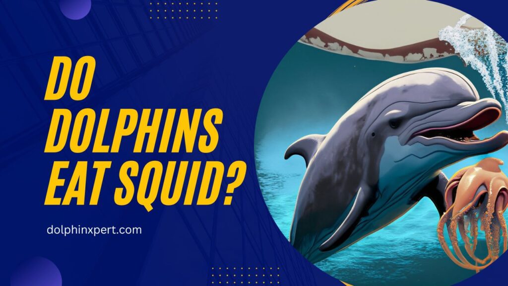 Do Dolphins Eat Squid