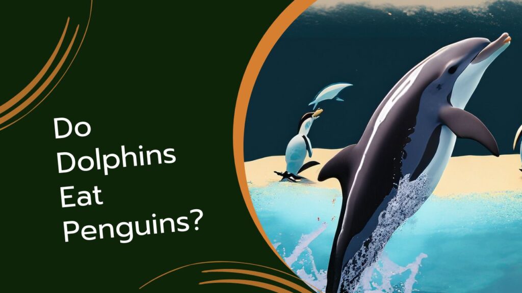Do Dolphins Eat Penguins?