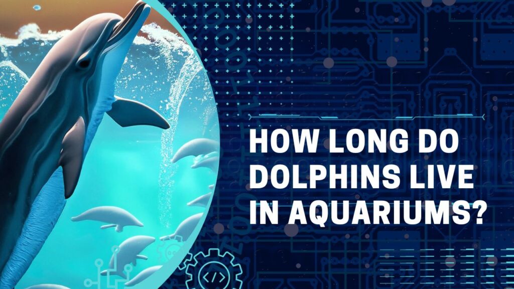 How Long Do Dolphins Live in Aquariums