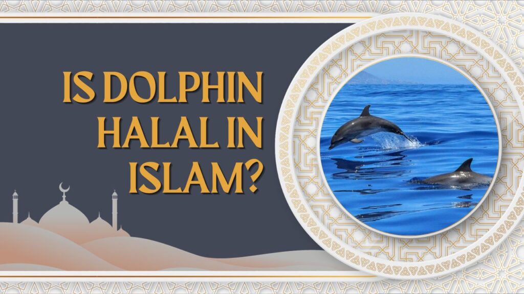 Is Dolphin Halal In Islam