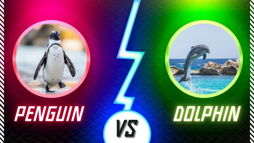 Who Is Faster: Penguin Or Dolphin?