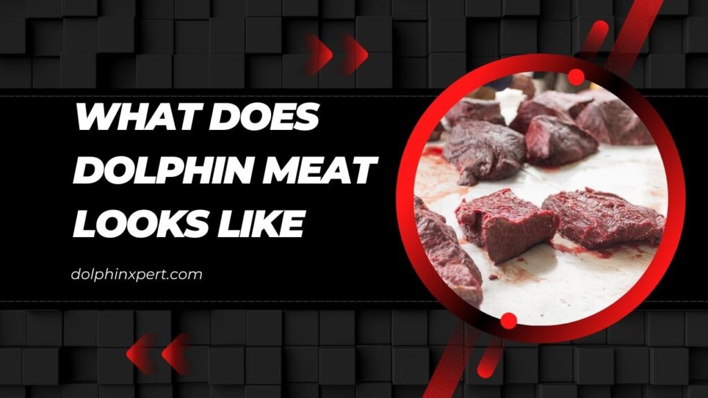 What Does Dolphin Meat Looks Like