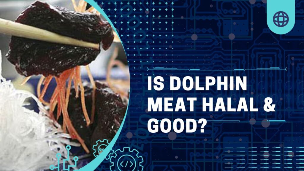 Is Dolphin Meat Halal & Good?