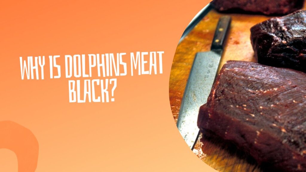 Why Is Dolphins Meat Black