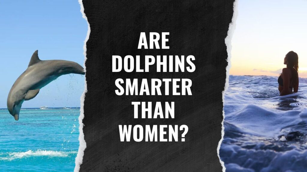 Are Dolphins Smarter Than Women