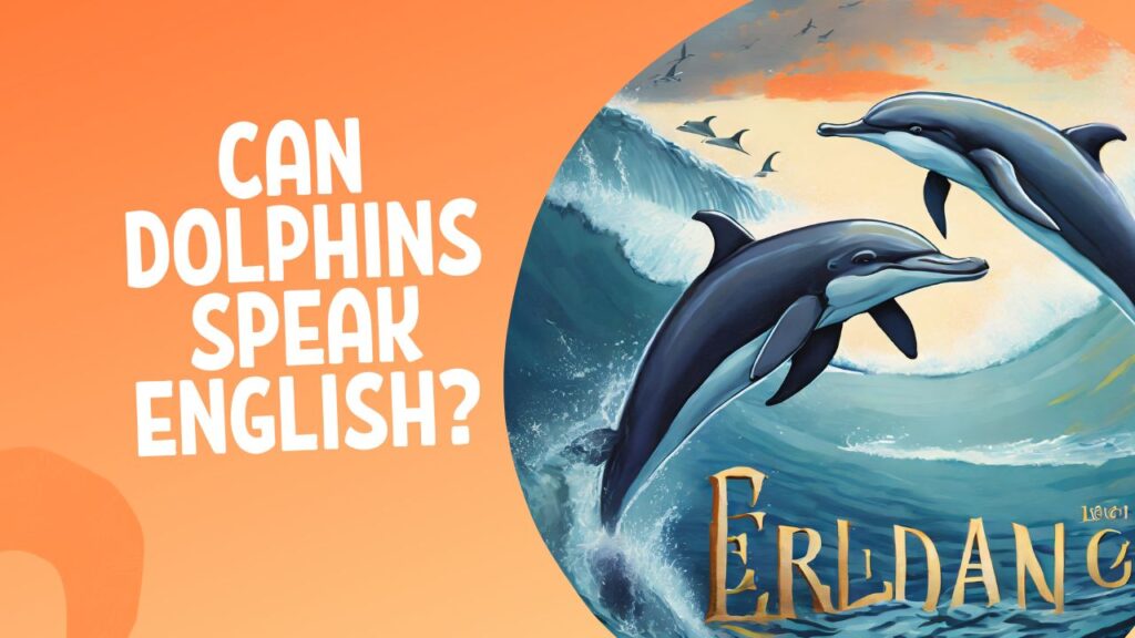 Can Dolphins Speak English