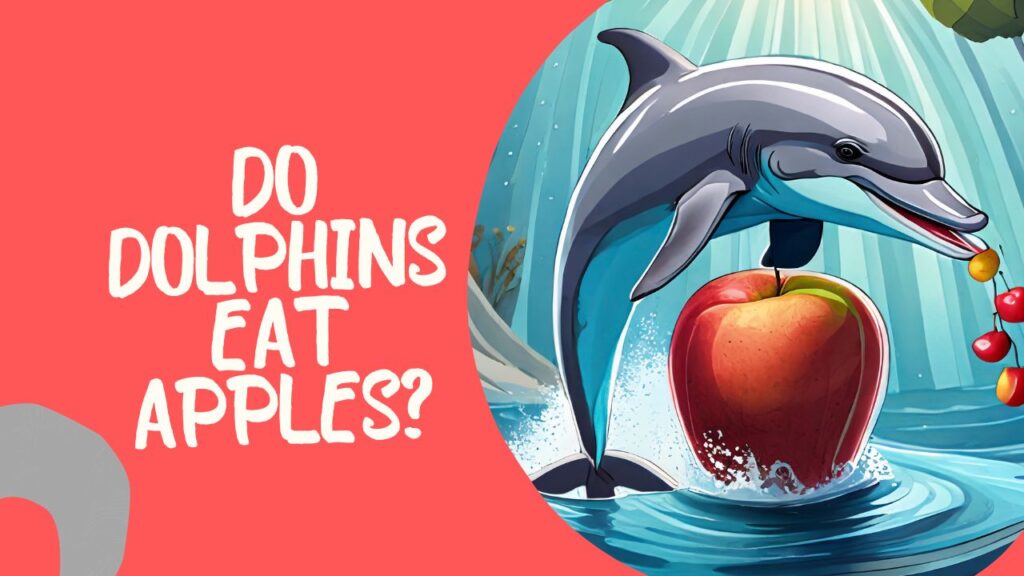 Do Dolphins Eat Apples
