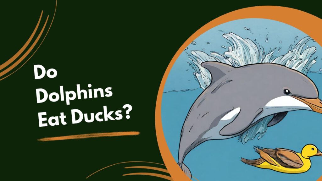 do dolphins eat birds