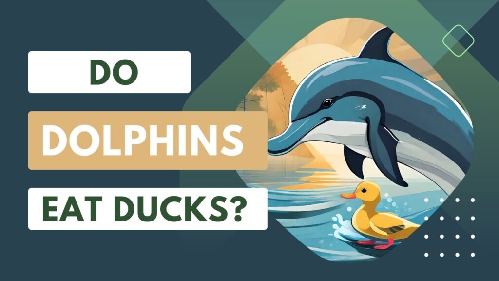 Do Dolphins Eat Ducks