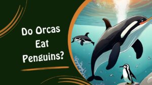 Do Orcas Eat Penguins? The Surprising Truth Revealed | DolphinXpert.com