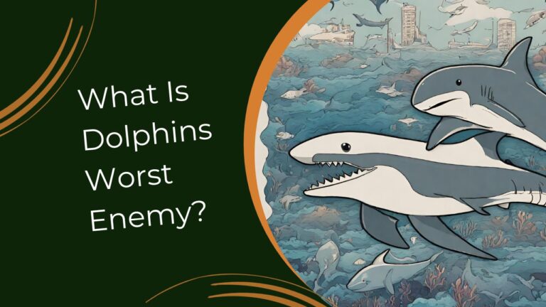 Do Seals Eat Dolphins? The Hidden Truth | DolphinXpert