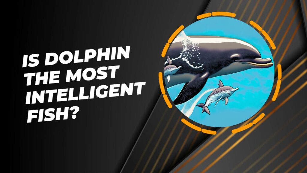 Is Dolphin The Most Intelligent Fish?
