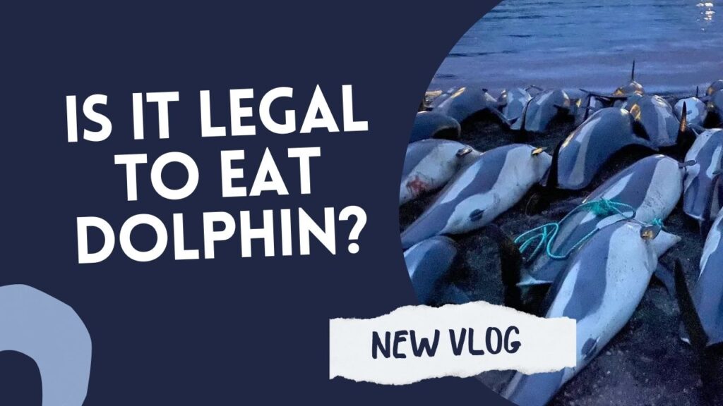 Is It Legal To Eat Dolphin