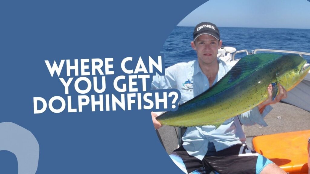 Where Can You Get Dolphinfish