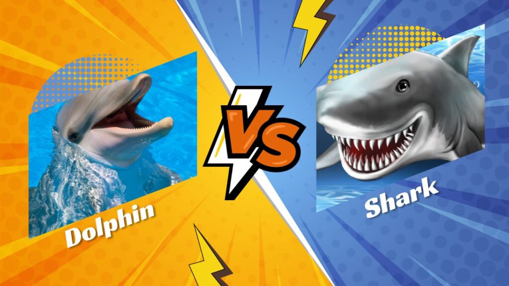 Is A Dolphin More Powerful Than A Shark?