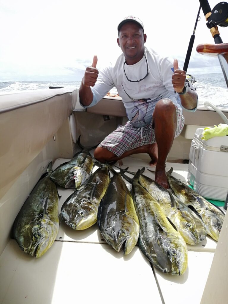 Is Dorado Fish Mahi Mahi