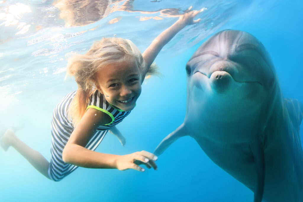 Is it illegal to communicate with dolphins? 