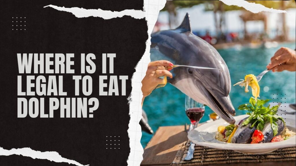 Where Is It Legal To Eat Dolphin