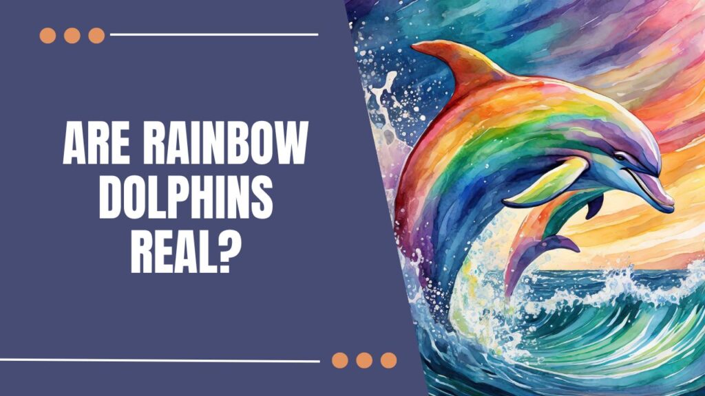 Are Rainbow Dolphins Real