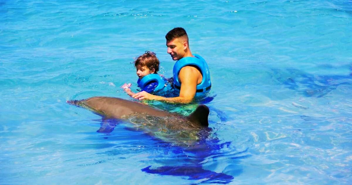 Do Dolphins Know What Humans Are