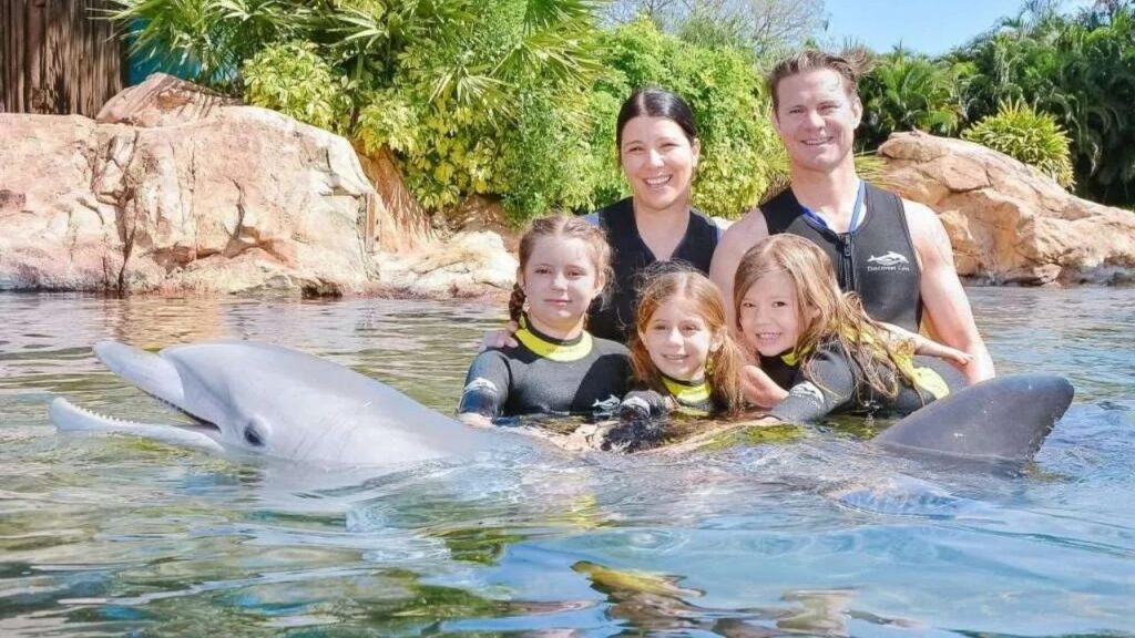 Where Can I Swim With Dolphins In The US? 