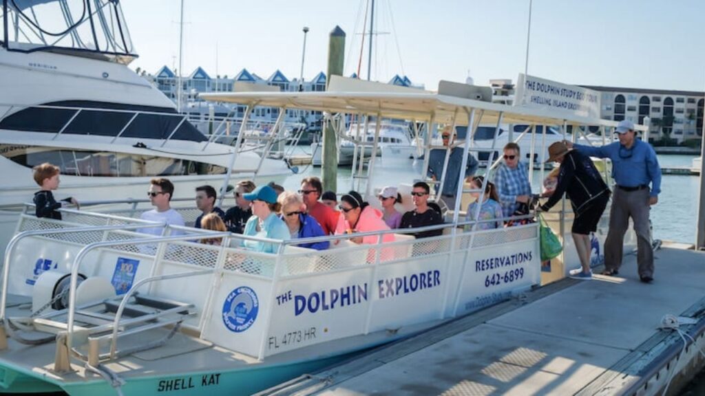 Where Can I Swim With Dolphins In The US? 