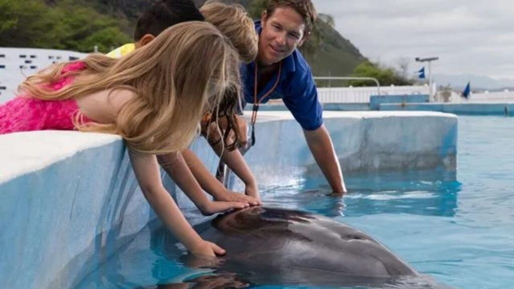 Where Can I Swim With Dolphins In The US? 